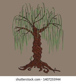 Tree icon. Vector illustration big tree willow. Hand drawn weeping willow tree.
