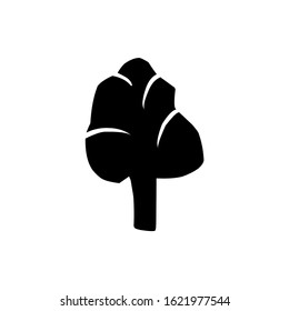 tree icon vector illustration eps 10