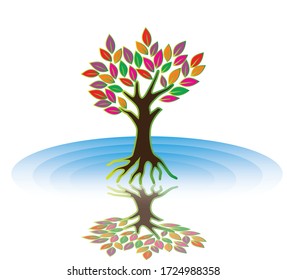 Tree icon vector illustration, mirrored by water, colorful leaves. Mangrove  tree symbol.