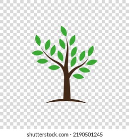 Tree icon. Vector illustration on transparent background