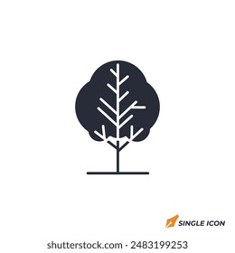 Tree icon vector illustration. Tree symbol isolated on white background.