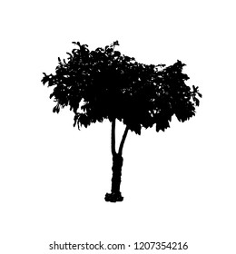 Tree icon vector illustrator silhouettes on white background