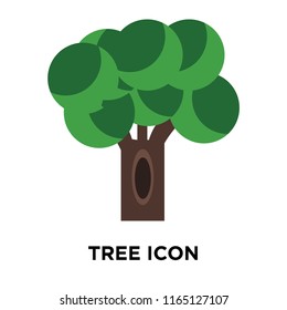 Tree icon vector isolated on white background, Tree transparent sign , nature symbols