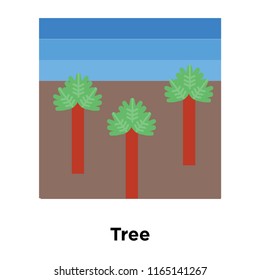 Tree icon vector isolated on white background, Tree transparent sign , historical stone age symbols