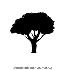 Tree icon vector png isolated on white background. Tree icon eps 10 vector.