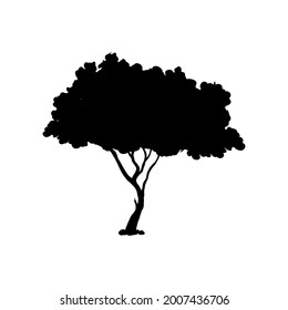 Tree icon vector png isolated on white background. Tree icon eps 10 vector.