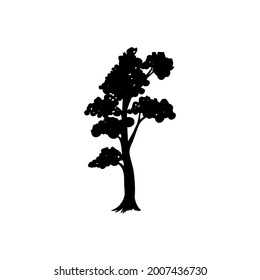 Tree icon vector png isolated on white background. Tree icon eps 10 vector.