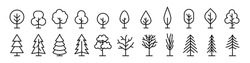 Tree Icon. Tree Vector Set. Linear Icon Collection. 