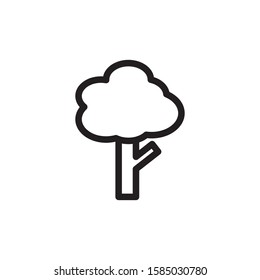 tree icon vector trendy design