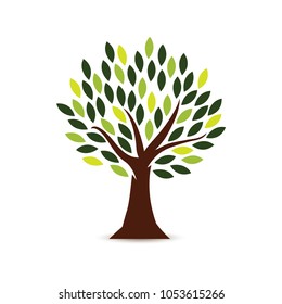 Tree Icon in white background