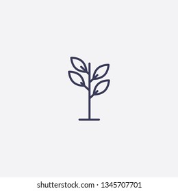 tree icon.Outline tree vector, illustrated icon for modern web and mobile design