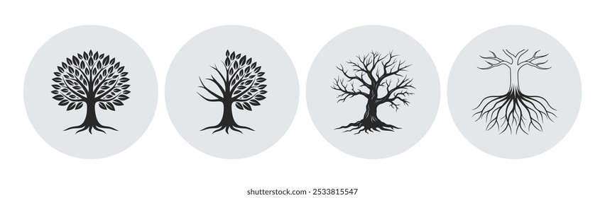 Tree icons representing different stages of life: growth, decline, dormancy, and rebirth vector illustration