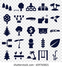 Tree icons set. set of 25 tree filled icons such as plant, beehouse, leaf, bamboo, structure, cutter, caterpillar, cactus, palm, swing, island, landscape