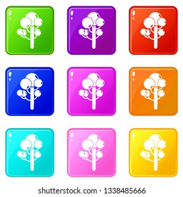 Tree icons set 9 color collection isolated on white for any design
