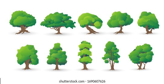 Tree icons set. Cartoon set of 10 tree vector icons for web isolated on white background. Set vector illustration