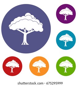 Tree icons set in flat circle reb, blue and green color for web