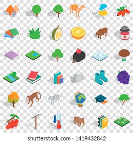 Tree icons set. Isometric style of 36 tree vector icons for web for any design