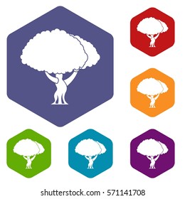Tree icons set rhombus in different colors isolated on white background