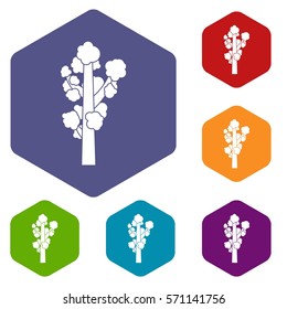 Tree icons set rhombus in different colors isolated on white background