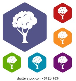 Tree icons set rhombus in different colors isolated on white background