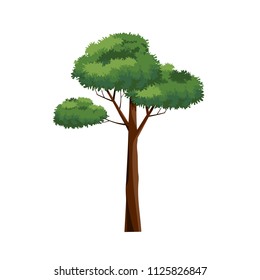 Tree icons vector.