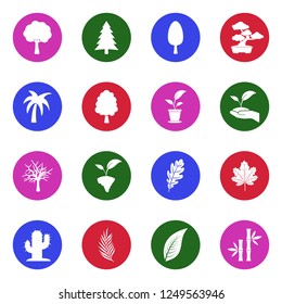 Tree Icons. White Flat Design In Circle. Vector Illustration. 