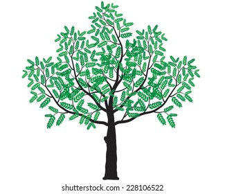 tree illustration