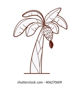 Tree Illustration. Banana tree