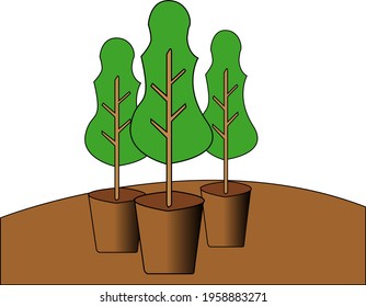 tree illustration. Can be used to describe a business or organization or a healthy lifestyle topic.