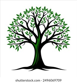 tree illustration color vector design
