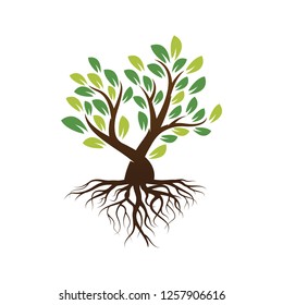 Tree illustration design with roots.