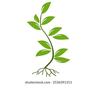 tree illustration in flat style. Green leaf icon in flat style, on white background. leaf icon set. nature icon, leaf vector illustration.