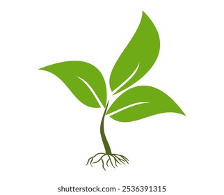 tree illustration in flat style. Green leaf icon in flat style, on white background. leaf icon set. nature icon, leaf vector illustration.