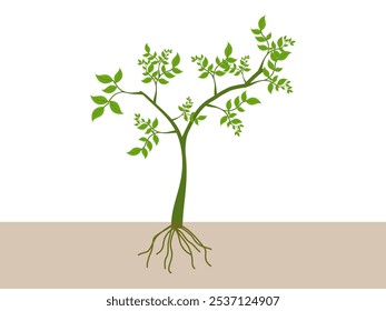 Baum-Illustration im flachen Stil. Grünes Blattsymbol im flachen Stil auf weißem Hintergrund. Blatt-Symbolsatz. Natursymbol, Blatt-Vektorgrafik.