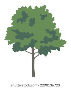 Ilustración de árbol gráfica de hojas verdes frondosas.