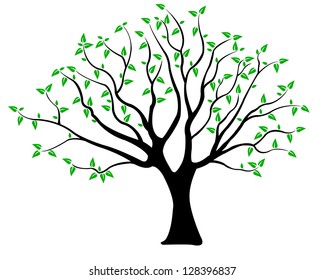 tree illustration isolated on white