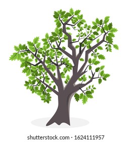 tree illustration isolated on white background. eps 10