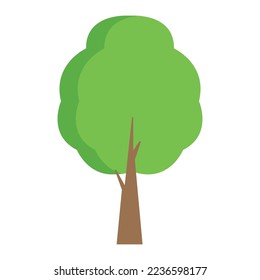 Tree illustration isolated on white background
