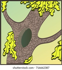 Tree illustration with leaves and a hollow. Vector illustration.