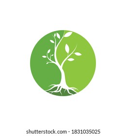 Tree illustration nature logo template vector design