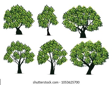 tree illustration. realistic design