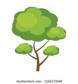 Tree illustration. Simple flat cartoon style. Isolated on white