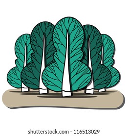 Tree illustration : vector