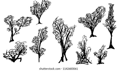 Tree Illustration Vector Art