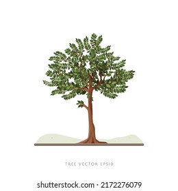 Tree illustration vector icon landscape decoration element