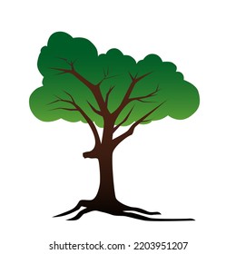 Tree Illustration Vector, For your nature-themed image editing needs