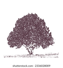 Tree illustration vintage style vector