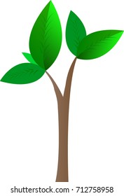 tree illustration white background,vector