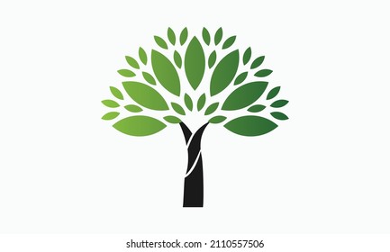 tree illustrations. Can be used to illustrate any nature or healthy lifestyle topic.