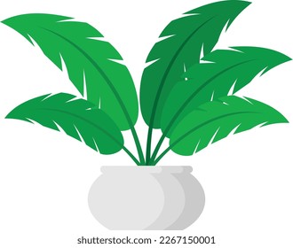 ilustraciones de árbol Se puede utilizar para describir cualquier aspecto o tema de un estilo de vida saludable